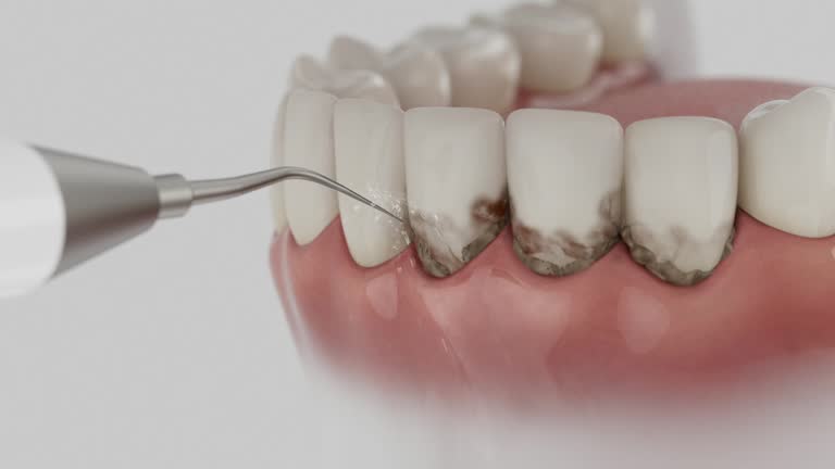 Reliable Dental contractor in Marshall, VA by Dentist Open Now